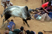 Issue ordinance for conduct of jallikattu: O Panneerselvam to Centre